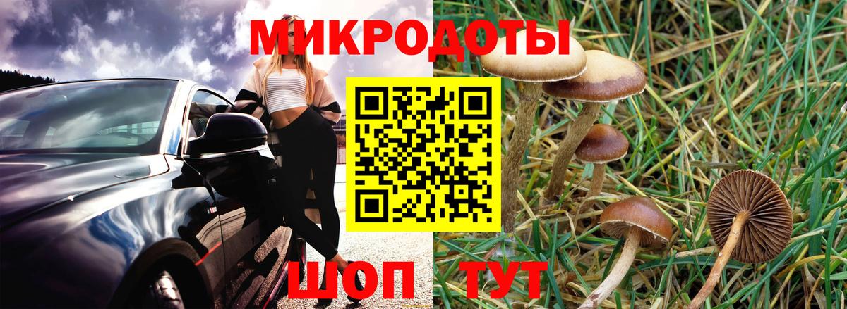 Галлюциногенные грибы мицелий  Псилоцибиновые грибы GOLDEN TEACHER  Вход с VPN  Туймазы 